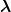 λ